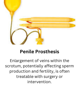 Penile Protshesis