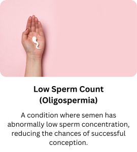 Low Sperm Count (Oligospermia)