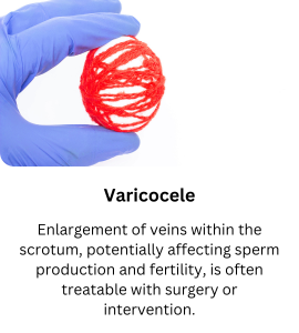 Varicocele