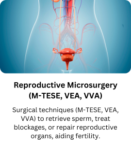 Reproductive Microsurgery (M-TESE, VEA, VVA)