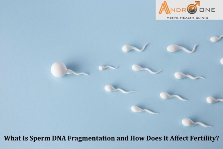 Sperm DNA Fragmentation