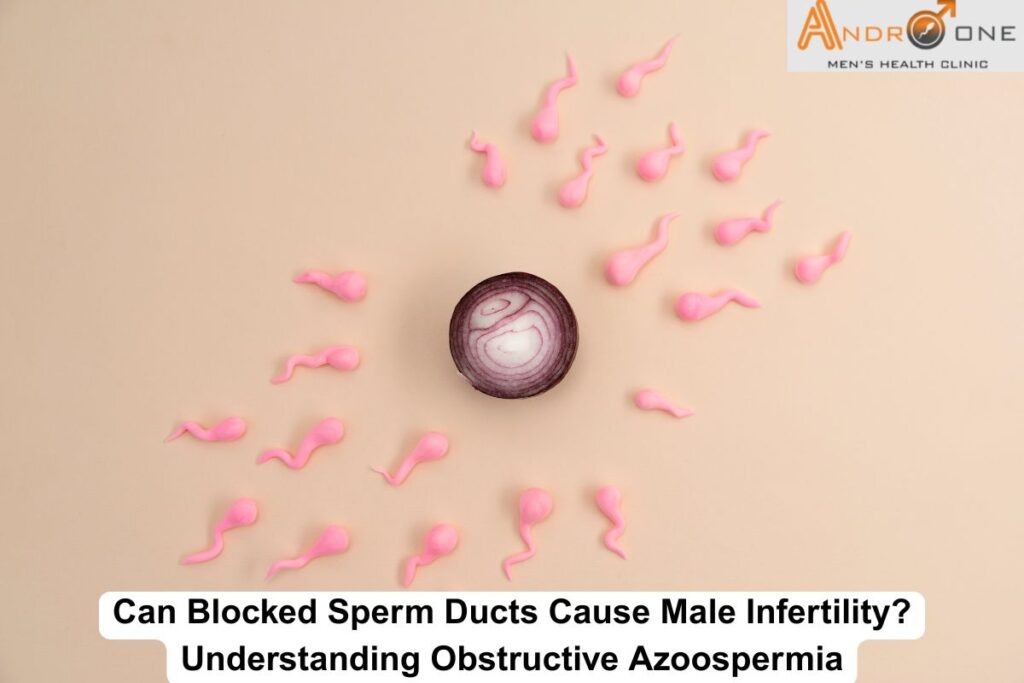 Blocked Sperm Ducts