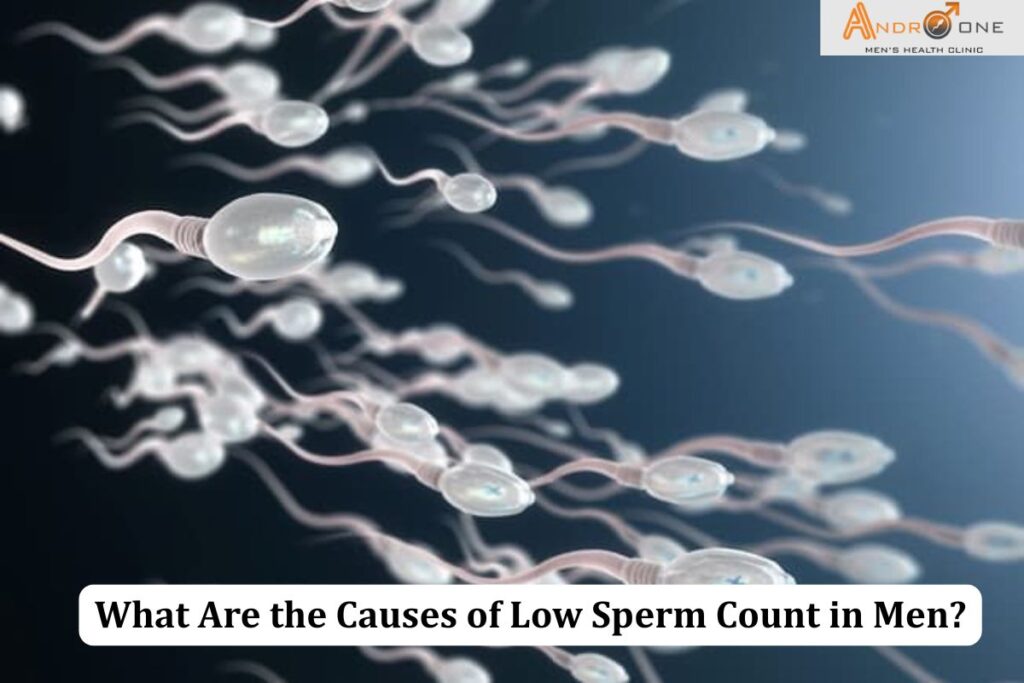 Low Sperm Count